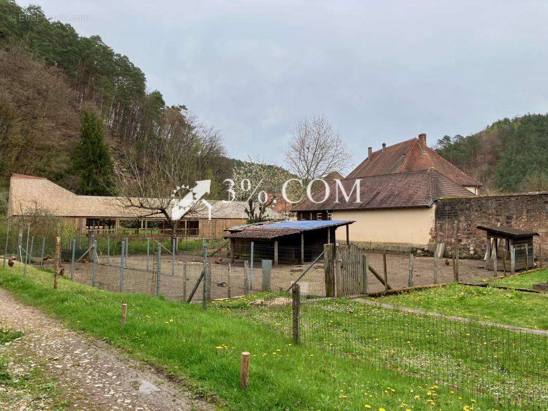 Maison à STURZELBRONN