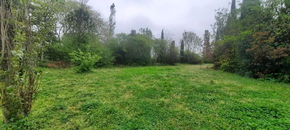 Terrain à TREBONS-SUR-LA-GRASSE