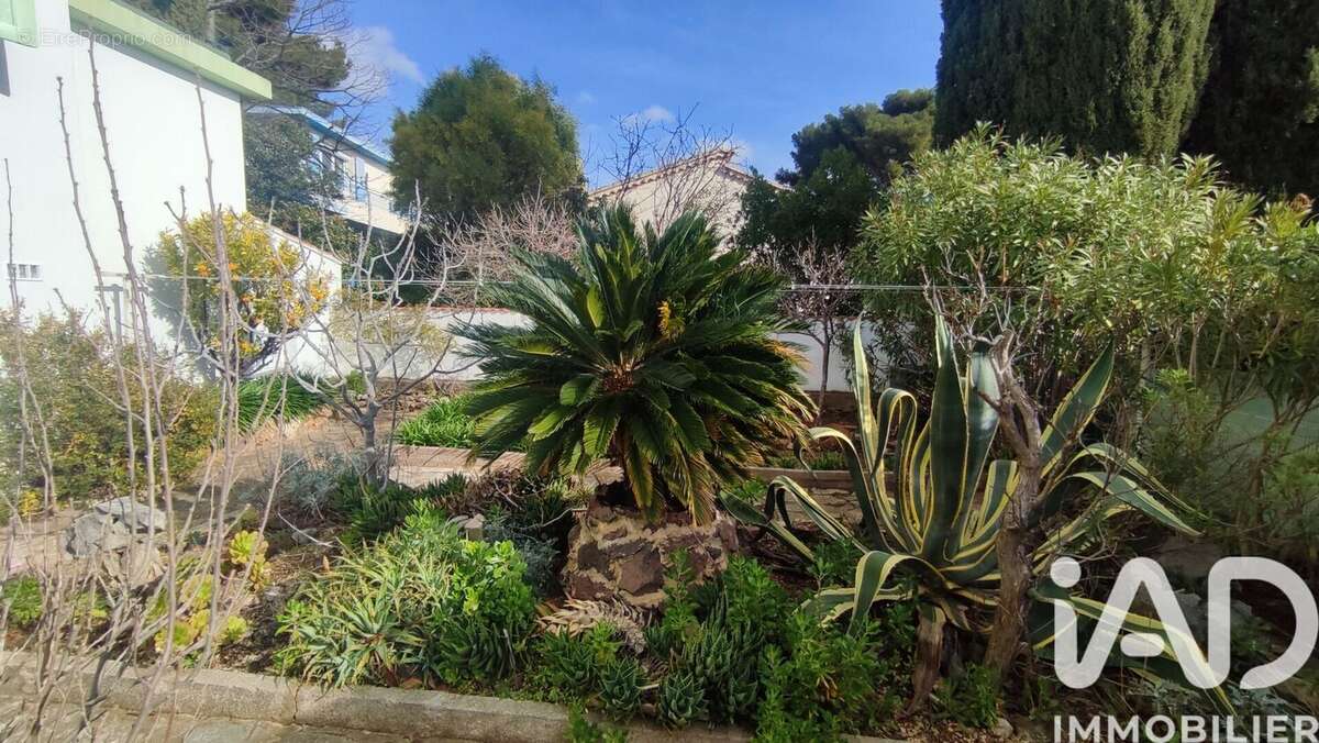 Photo 6 - Maison à TOULON