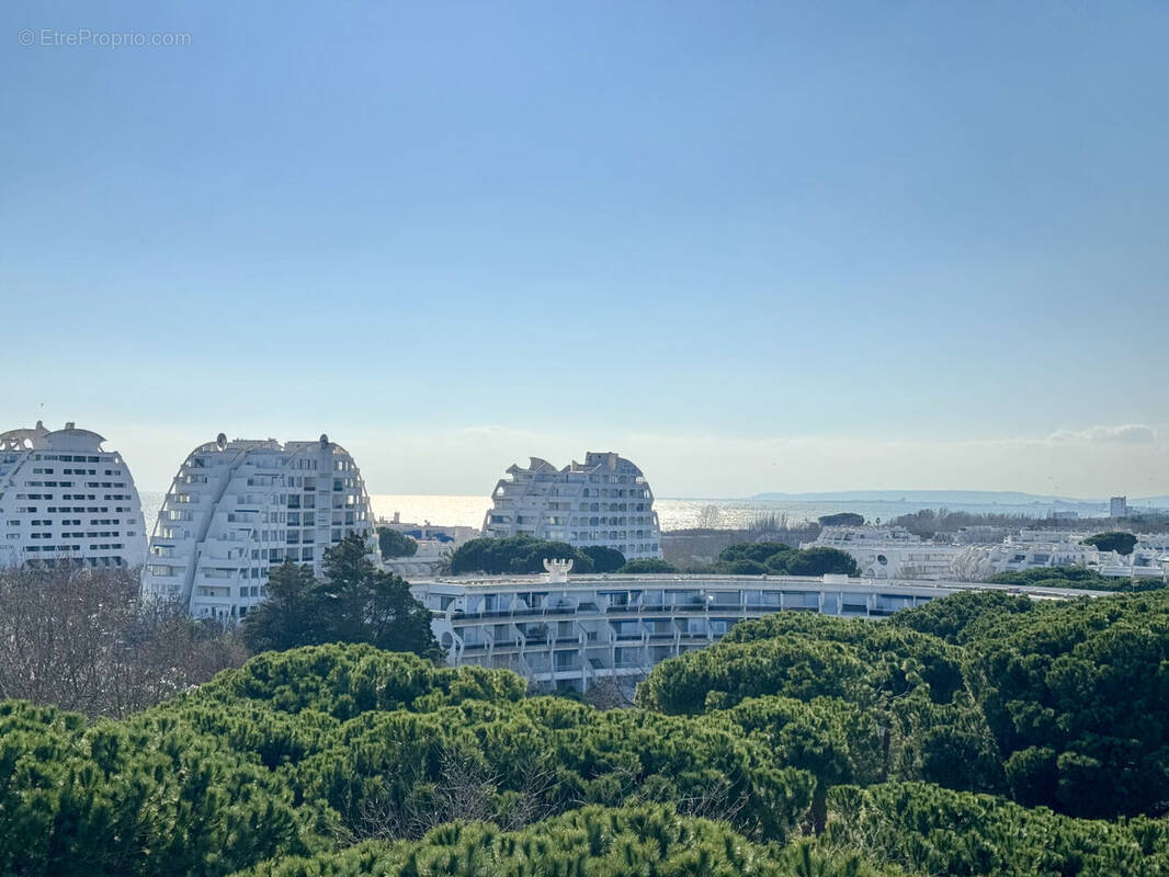 Photo 1 - Appartement à LA GRANDE-MOTTE