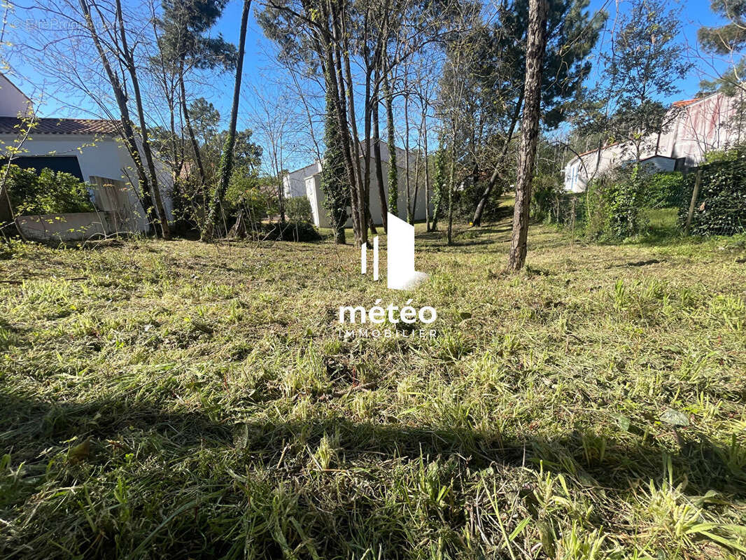 Terrain à LA TRANCHE-SUR-MER