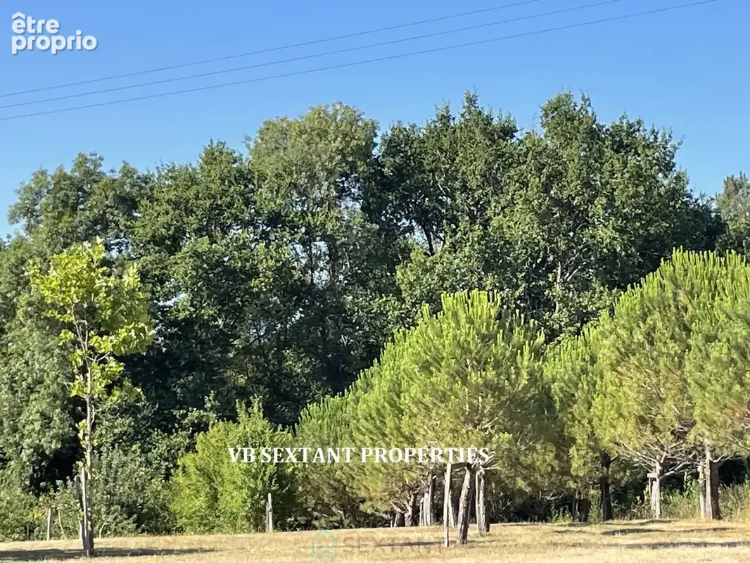 Sud Gironde, Belle maison de campagne rénovée, avec vue panoramique, dépendances  et piscine..11 hectares - photo 17