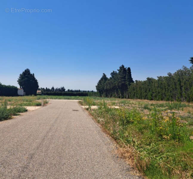 Photo 3 - Terrain à L&#039;ISLE-SUR-LA-SORGUE