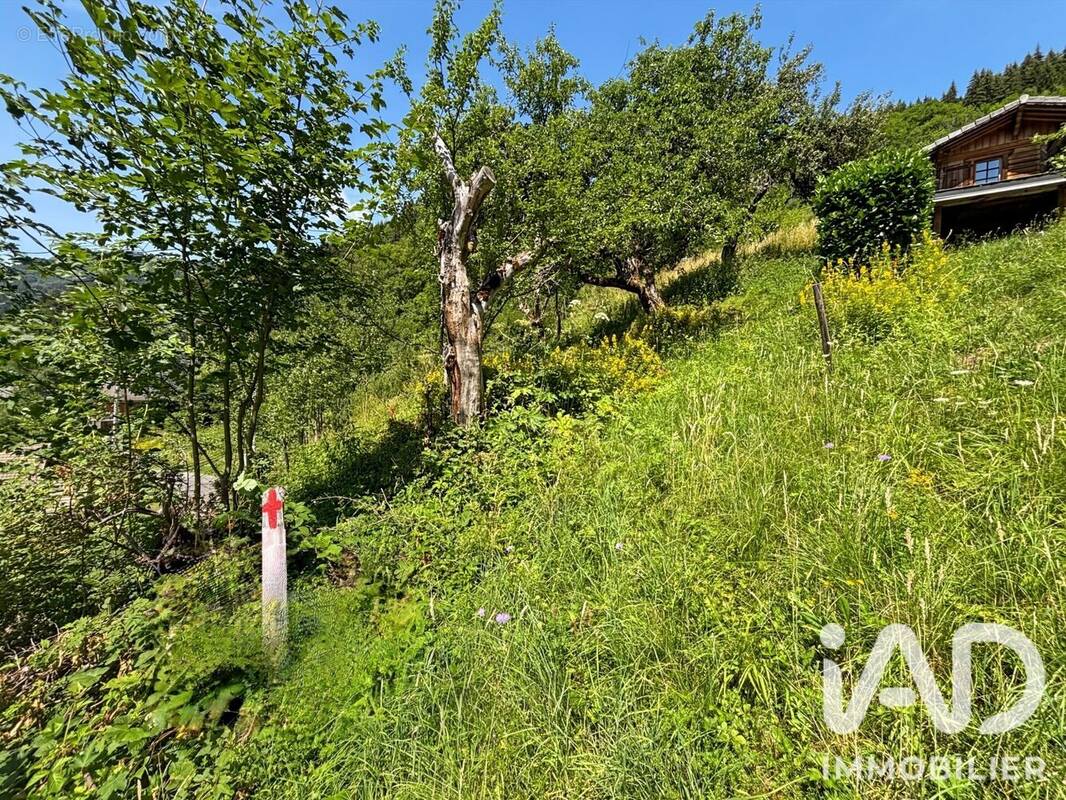 Photo 1 - Terrain à LA COTE-D'ARBROZ