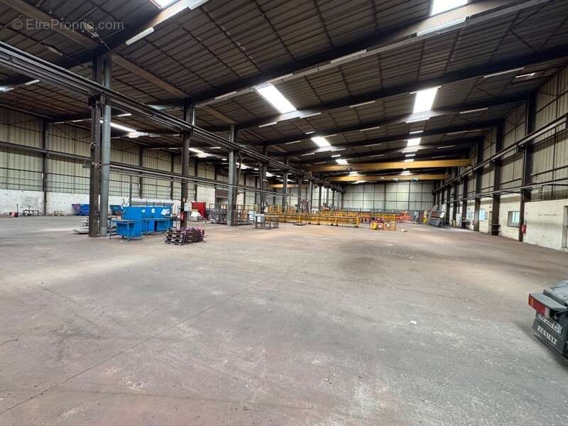 Commerce à CASTELCULIER