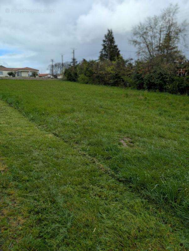 Terrain à LACROUZETTE