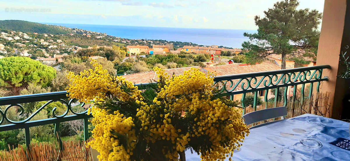 Appartement 3 pièces à vendre avec vue mer dégagée aux Issambres - photo 5