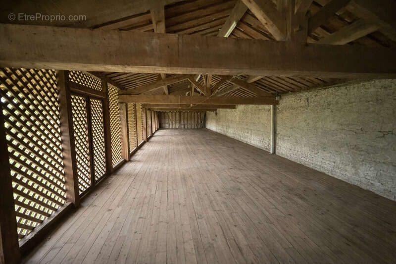Maison à AIRE-SUR-L'ADOUR