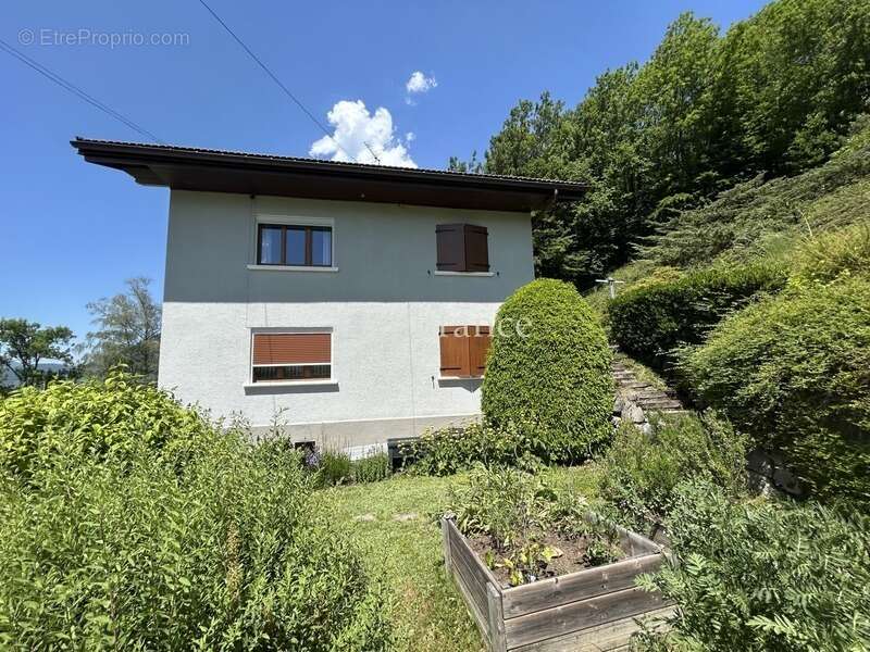 Maison à SEYTHENEX