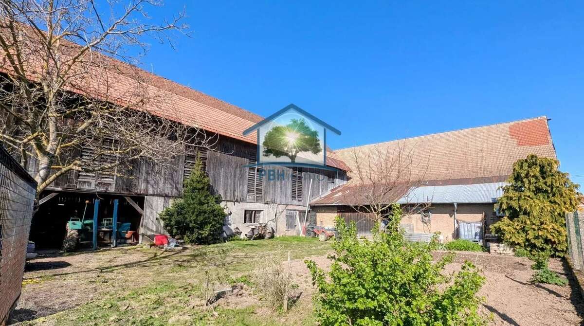 STOTZHEIM (67) -  Maison 11 pièces  250 m², studio indépendant, atelier  et plus de 800m2 de dépendances - photo 3