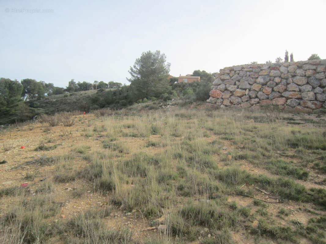 Terrain à NARBONNE