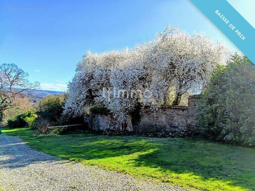 Belle propriété Bourgeoise - photo 29