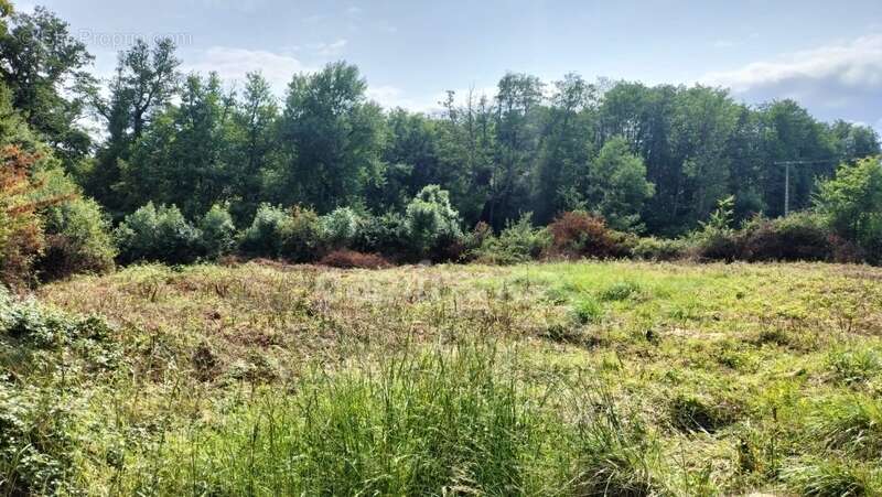 Terrain à SAINT-PERE