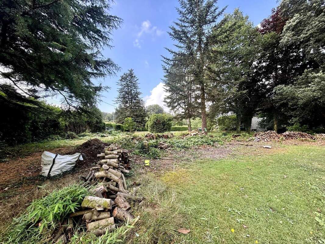 Photo 3 - Terrain à COLPO