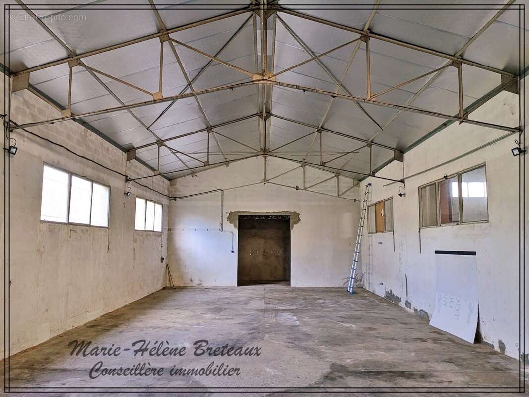 Local/bureau à vendre  (47)Ensemble immobilier professionnel de 1 880 m² à Barbaste - photo 5