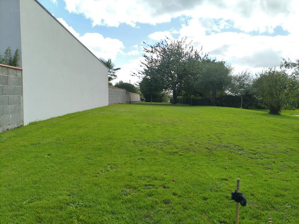 Terrain à LES HERBIERS