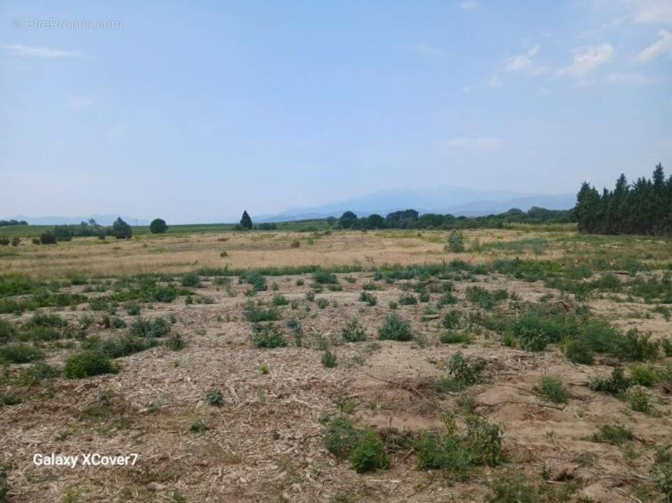 Terrain à VILLEMOLAQUE