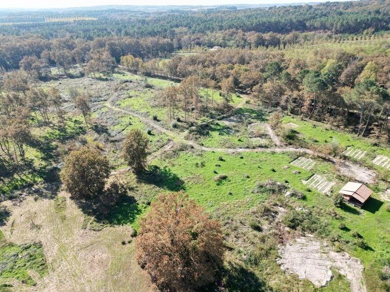 Terrain à ARGENTON