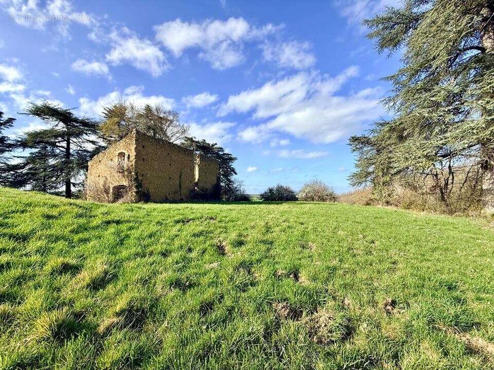 Maison à LOUBERSAN