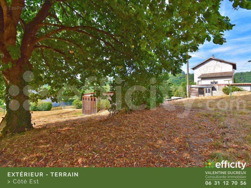Maison 75 m² à Chazelles-Sur-Lyon  - photo 6