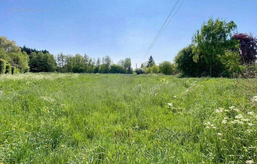 Terrain à MARCHIENNES