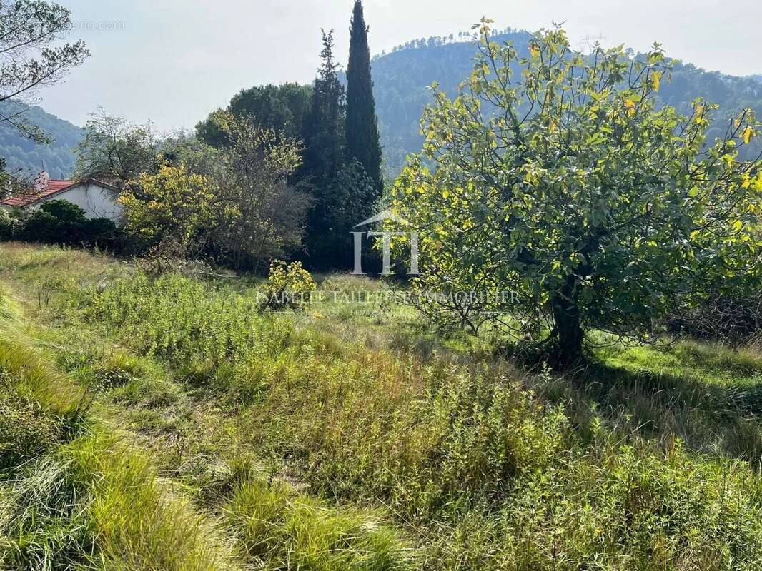 Terrain à L'ESCARENE