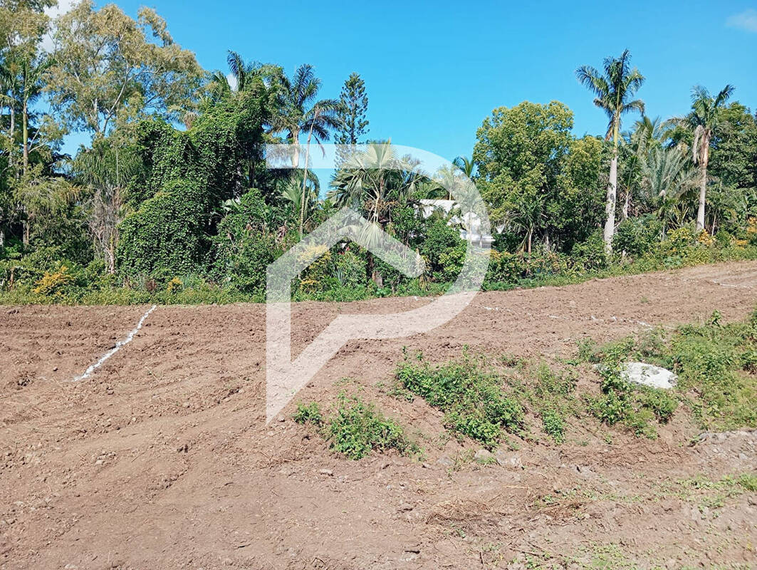 Terrain à SAINT-LOUIS