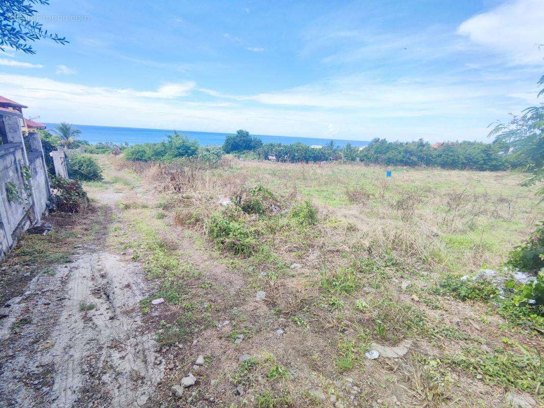 Terrain à VIEUX-HABITANTS