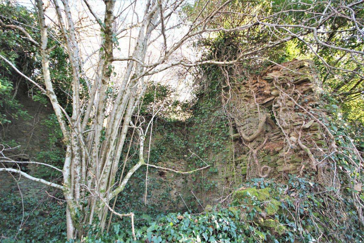 Commerce à RIEUPEYROUX