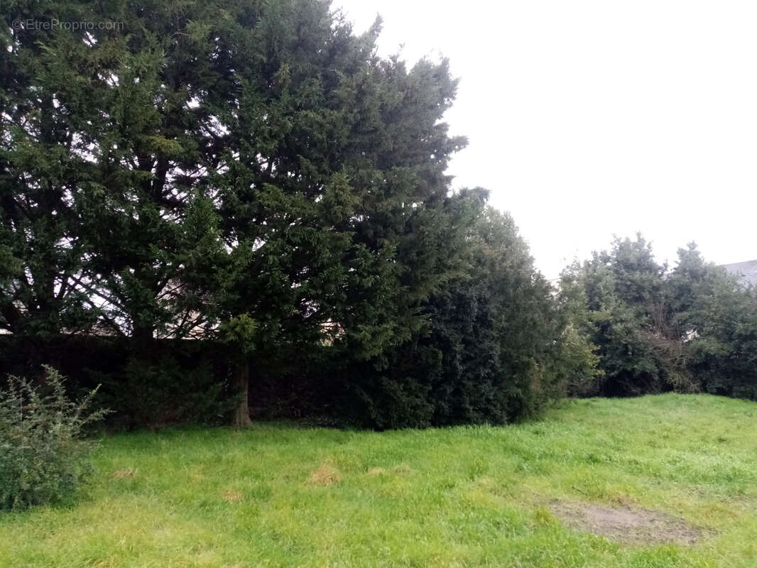 RARE, terrain à bâtir proche des commodités !!! - photo 2