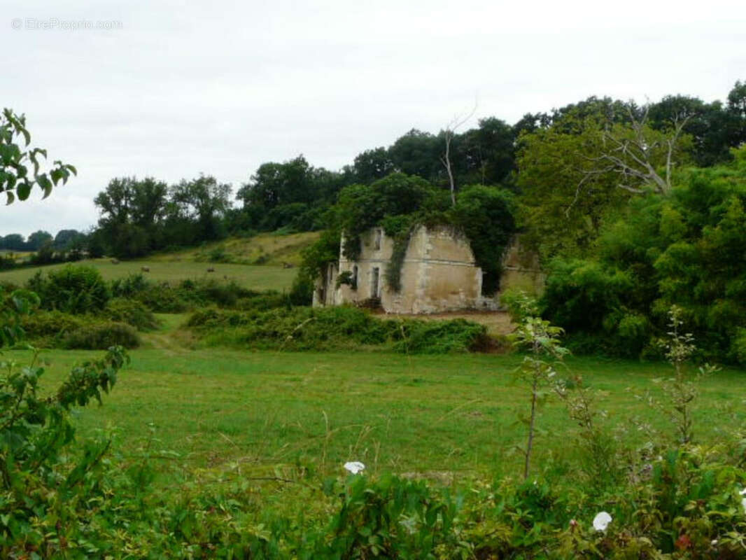 Ancienne Maison de Maître terre et bois 6 Ha - photo 23