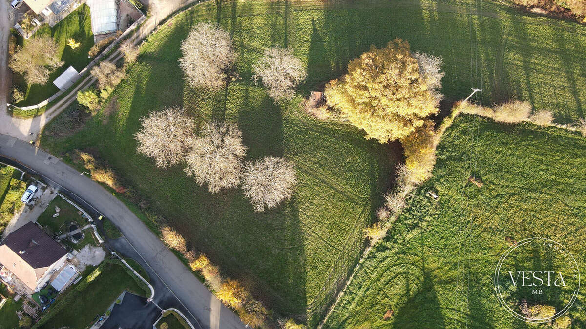 Terrain à MONTENOIS