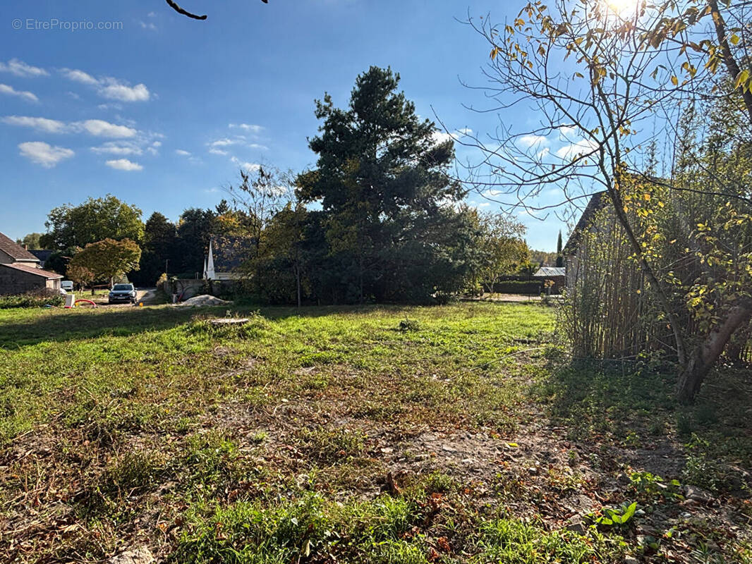 Terrain à ARTANNES-SUR-INDRE