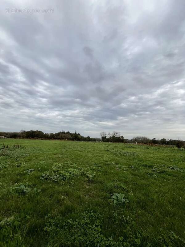 Maison à TREGONNEAU