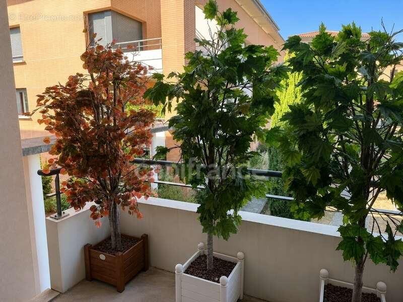 Appartement à COLOMIERS