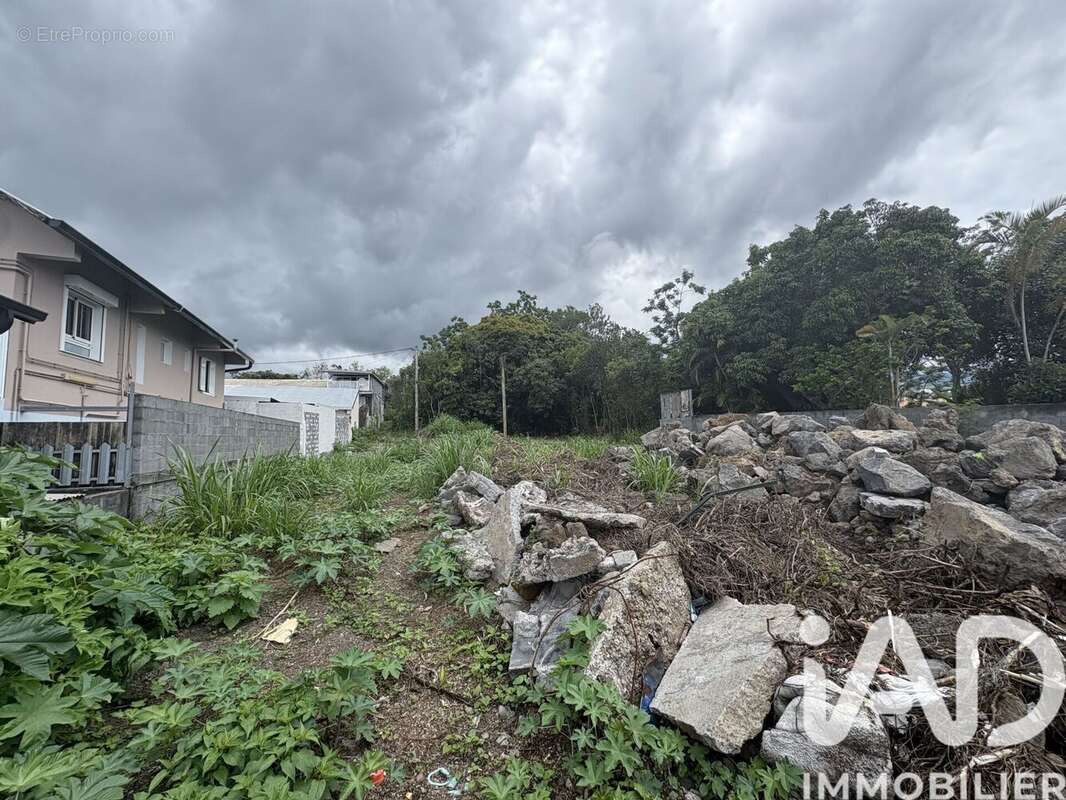 Photo 2 - Terrain à LE TAMPON