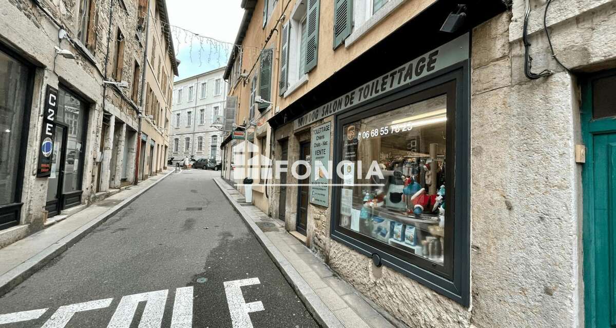 Commerce à VIENNE