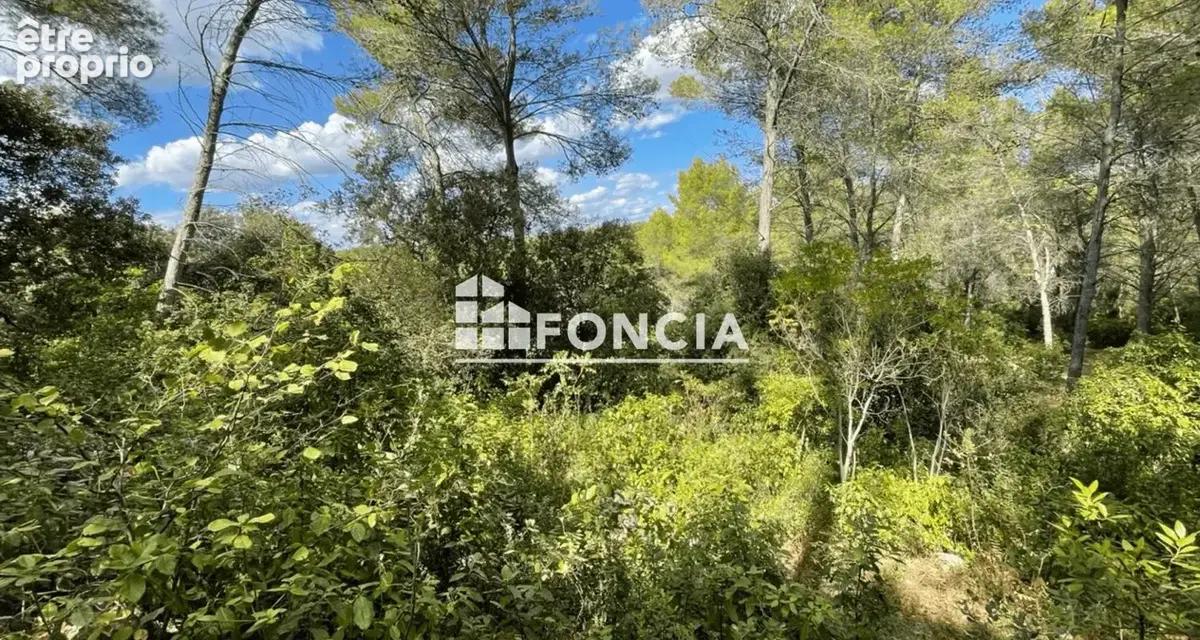 Clapiers – Lumineuse Maison T4 à l'orée des bois avec jardin de 400 m², au calme absolu ! - photo 3