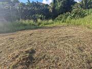 Terrain à SCHOELCHER