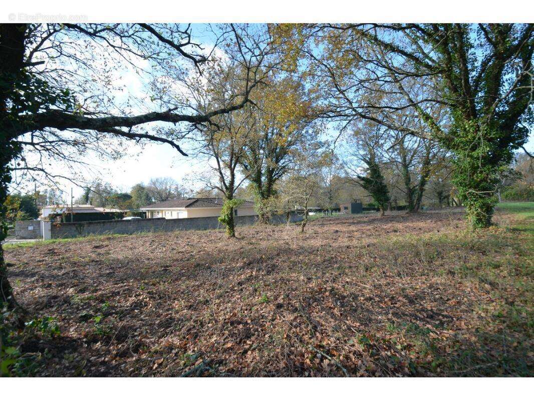 Terrain à PORCHERES