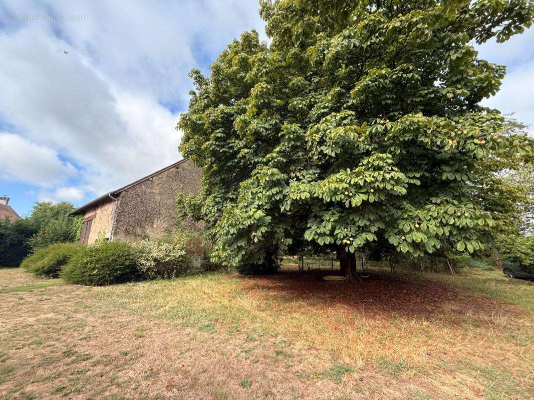 Propriété de caractère 284m² habitable, 5 chambres, annexe + grange sur terrain de 6885m² 197 000 € - photo 79