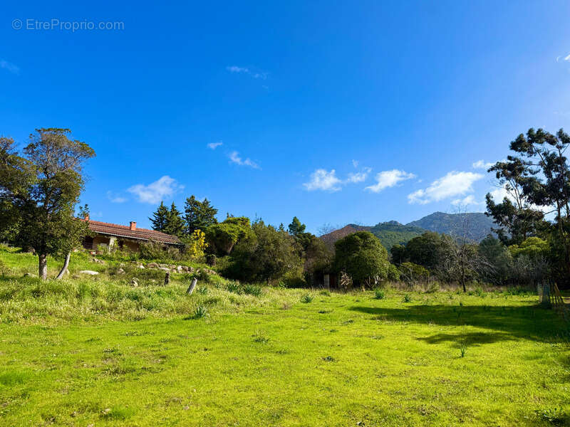 SAGONE (Corse) : Propriete à vendre, maison T4 + dépendance avec 2 appartements T1, sur terrain plat de 5000m2 - photo 2