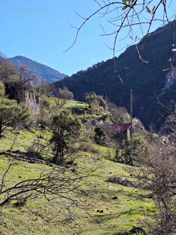 Maison à VALDEBLORE
