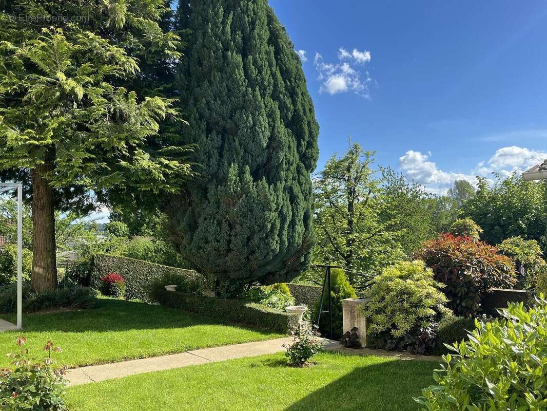 terrain - Maison à LACAPELLE-MARIVAL
