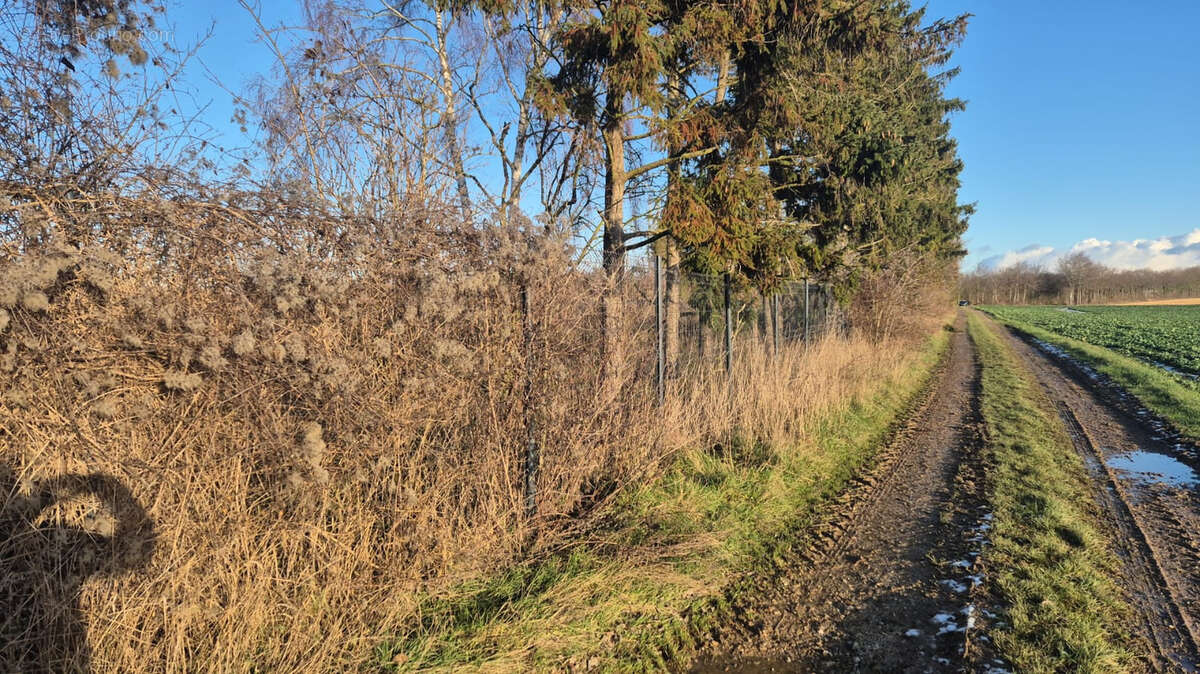 Terrain à ALLONVILLE