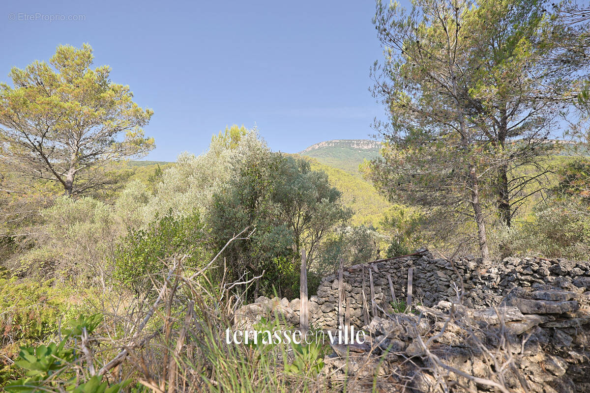 Terrain à CUERS