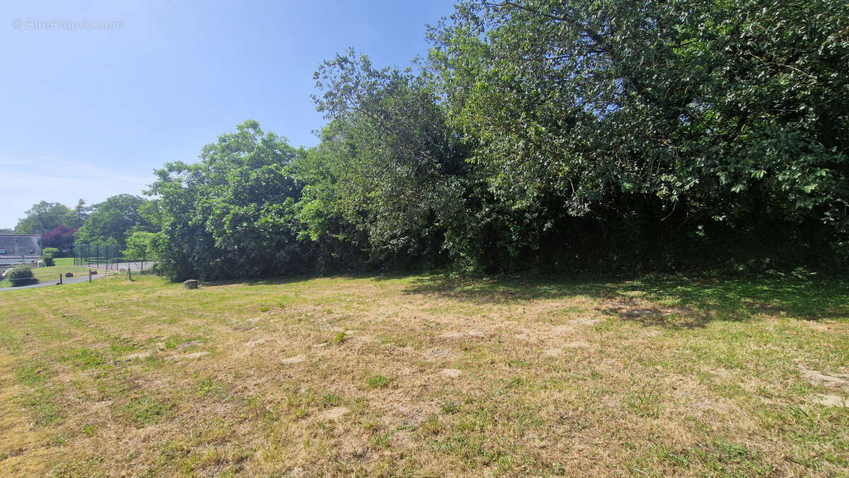 Terrain à LERNE