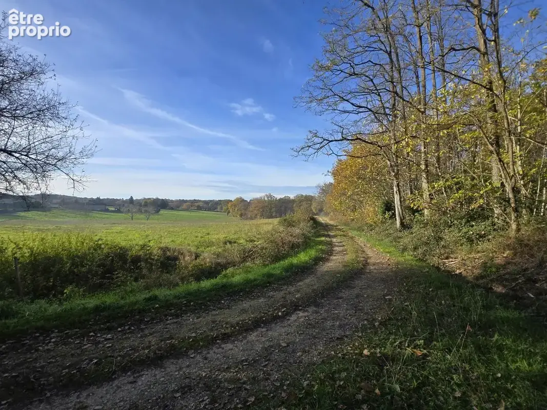 Terrain arboré d'1ha44 - photo 4