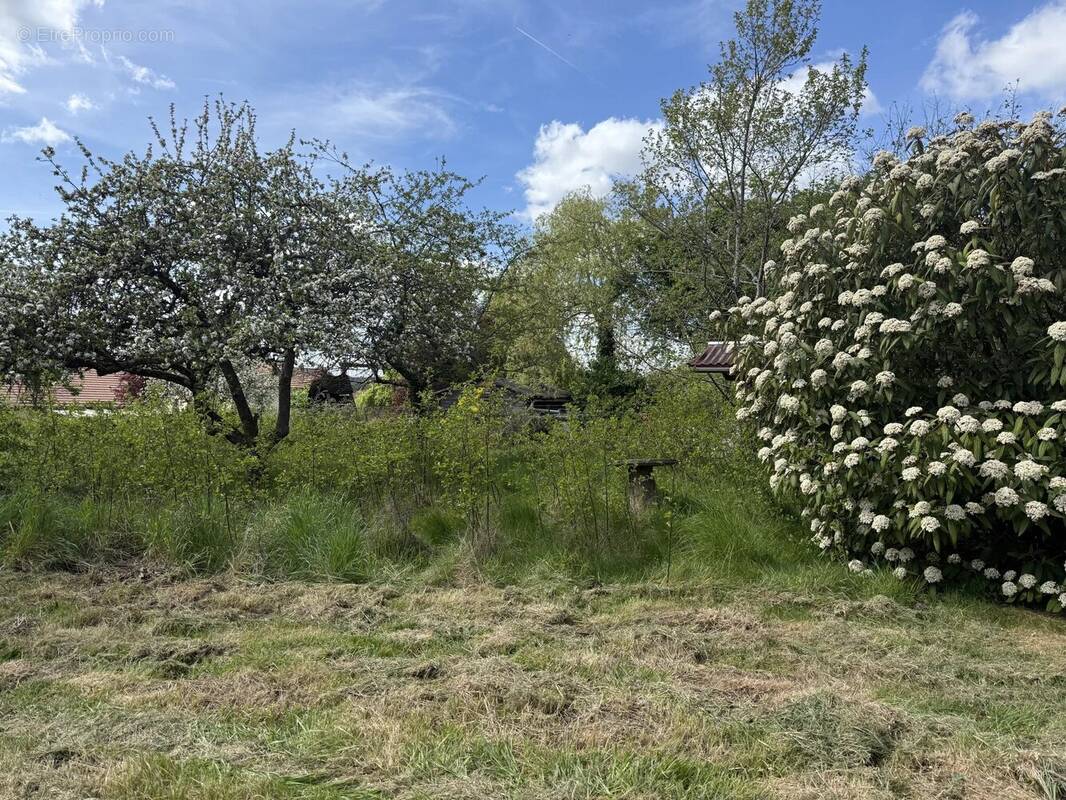 Terrain à BOUTIGNY-SUR-ESSONNE