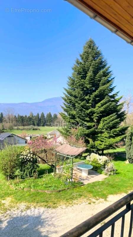 Chambéry-le-Vieux – Vue montagnes, grand jardin et maison aux multiples possibilités ! - photo 14